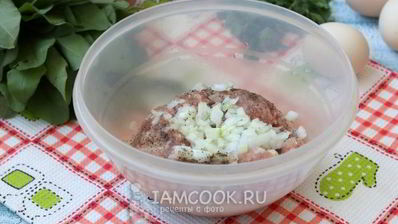 зеленый борщ с фрикадельками и со щавелем