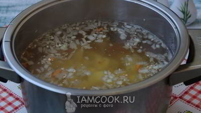 зеленый борщ с фрикадельками и со щавелем