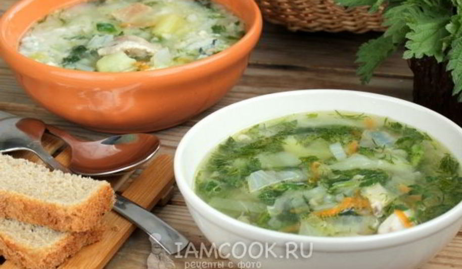 Рецепт супа с крапивой на курином бульоне