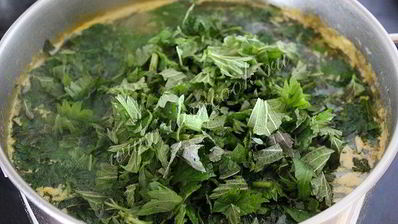 суп с крапивой на курином бульоне