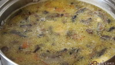 суп с шампиньонами и фарфалле на курином бульоне