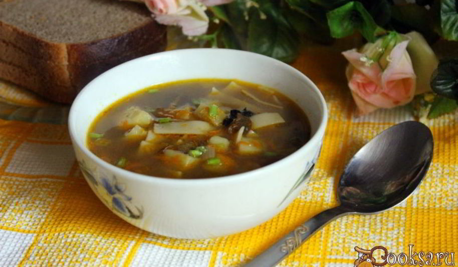 Рецепт супа с сушеными грибами и лапшой на курином бульоне
