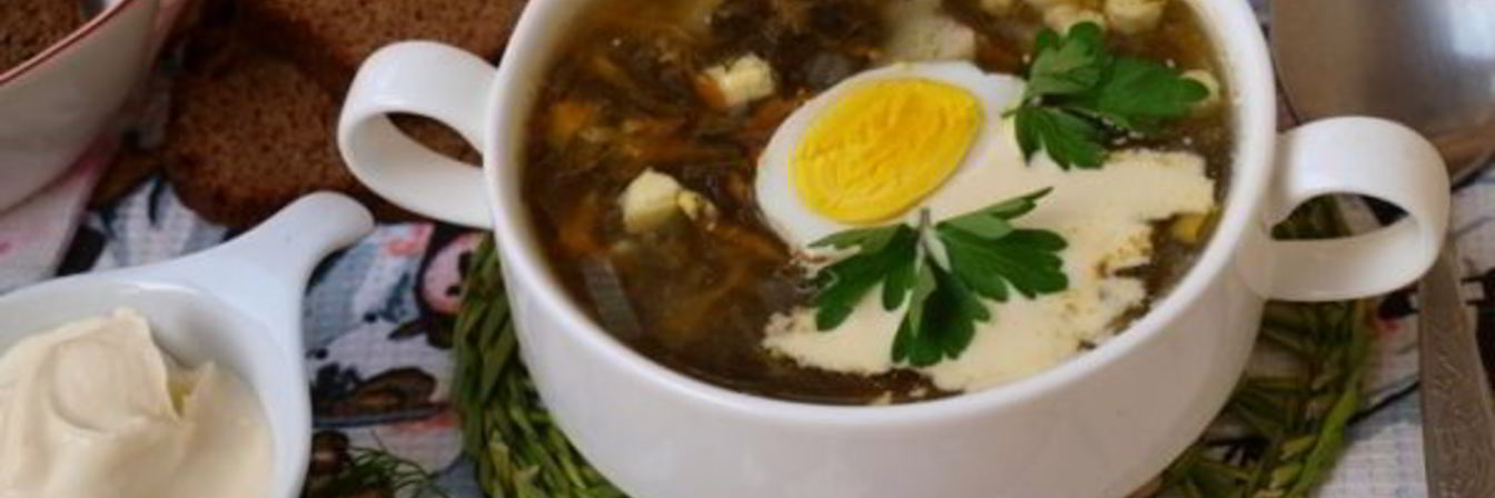 Зеленый борщ со щавелем на мясном бульоне