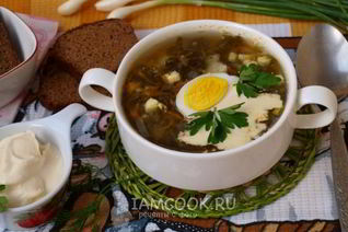 Зеленый борщ со щавелем на мясном бульоне