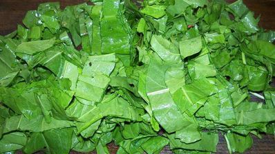 холодник из свеклы