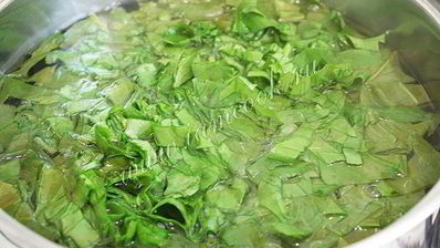 холодник со щавелем