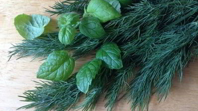 окрошка-мохито