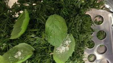 окрошка-мохито