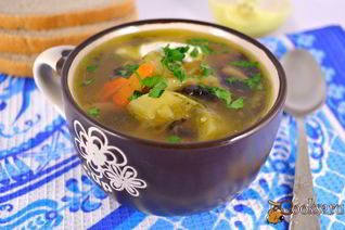 Рассольник с грибами и овсянкой в мультиварке