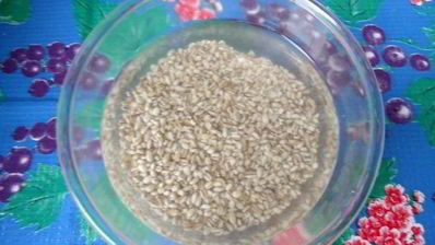 заготовка рассольника на зиму