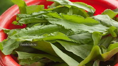 щавелевый суп