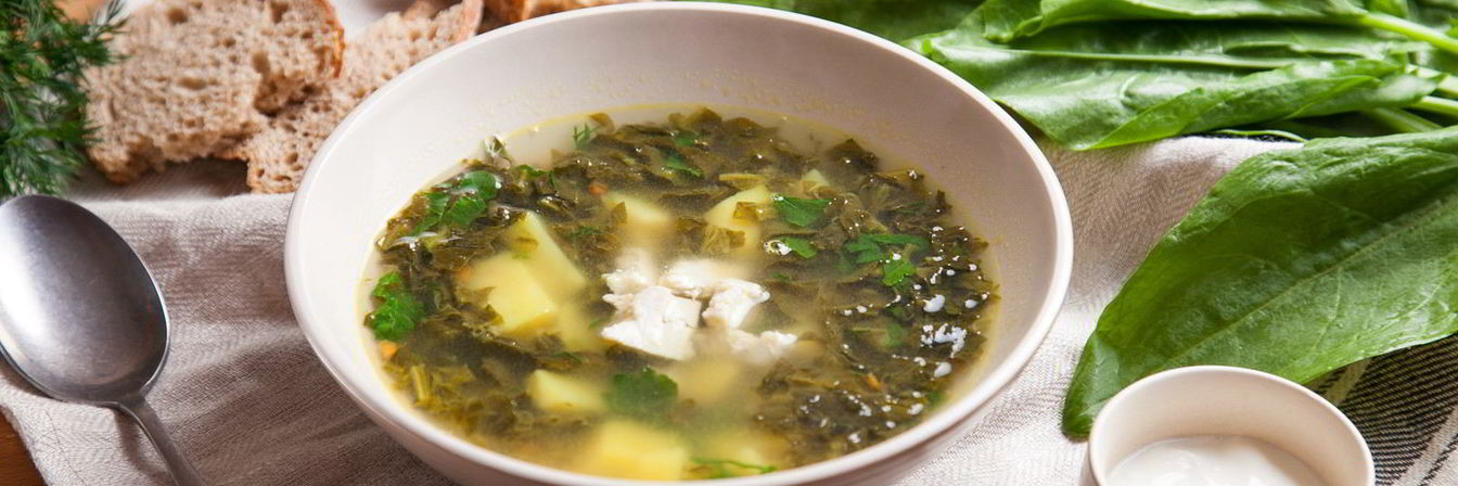 Классические щи из молодого щавеля