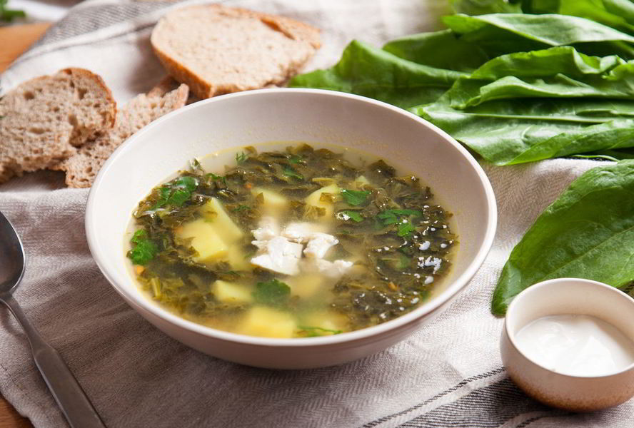 Классические щи из молодого щавеля