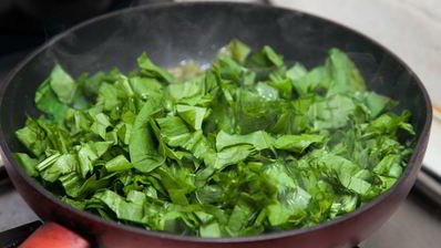 классические щи из молодого щавеля