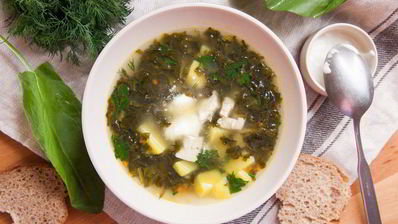 классические щи из молодого щавеля