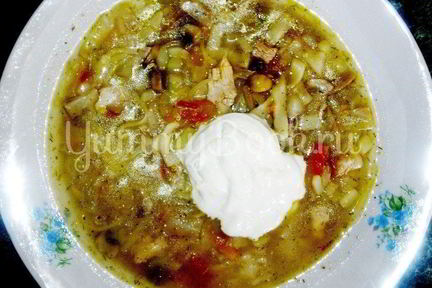 Куриные щи с грибами и лапшой
