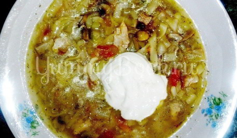 Рецепт куриных щей с грибами и лапшой