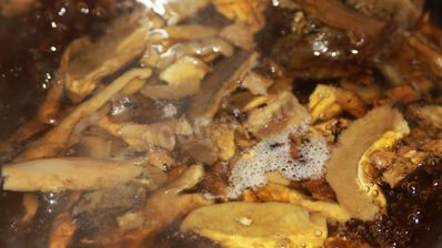 постные щи из свежей капусты с сушеными грибами