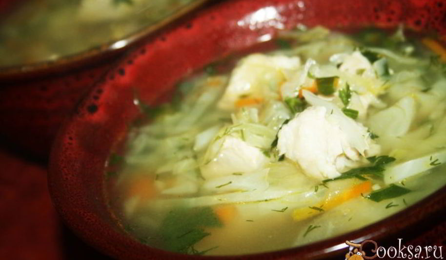 Рецепт простых щей со свининой и свежей капустой