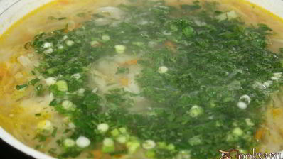 простые щи со свининой и свежей капустой