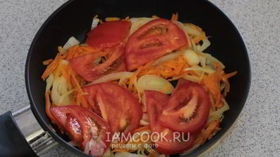 щи из кислой капусты со свининой