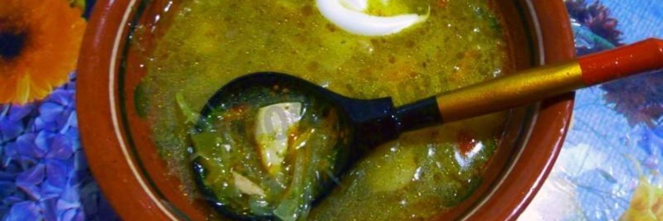 Щи из кислой квашеной капусты с грибами