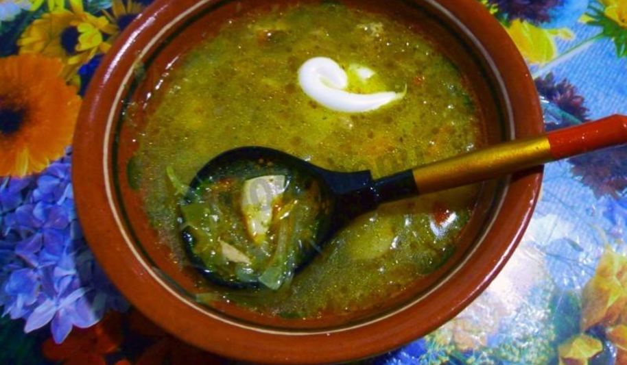 Рецепт щей из кислой квашеной капусты с грибами