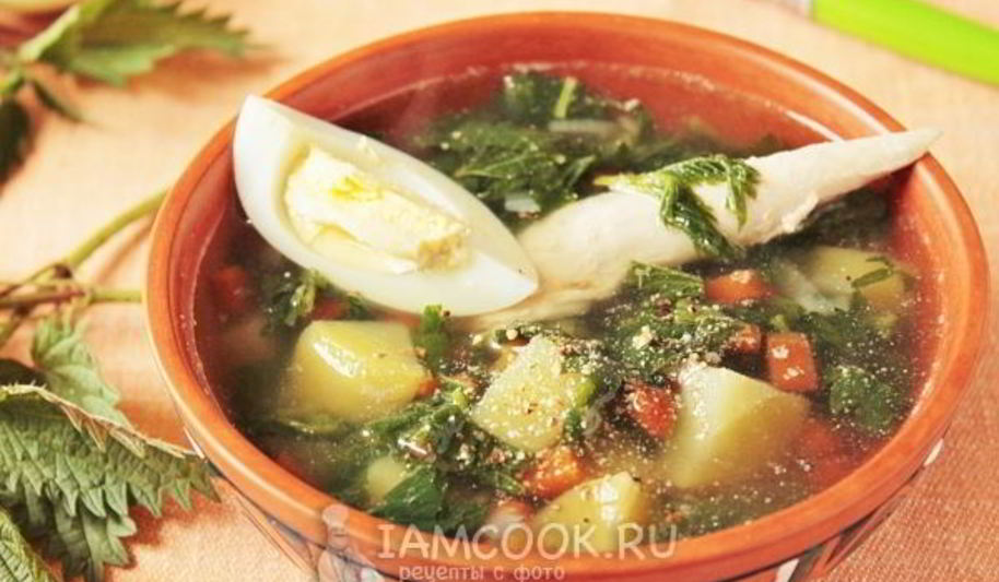 Рецепт щей из крапивы с яйцом