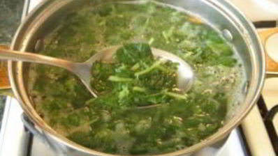 щи из крапивы