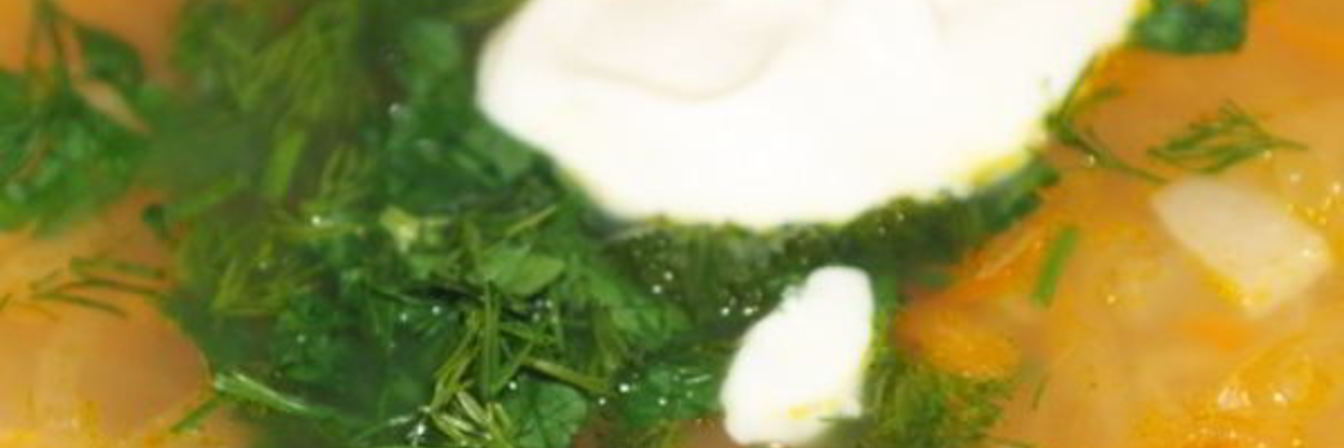 Щи из квашеной капусты с индейкой