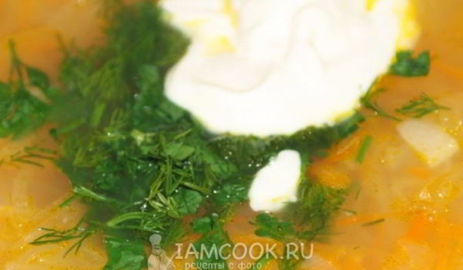 Рецепт щей из квашеной капусты с индейкой