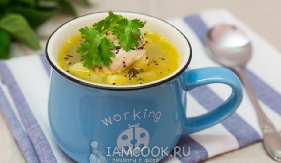 Рецепт щей из квашеной капусты с курицей