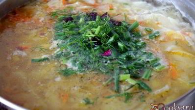 щи из молодой капусты на курином бульоне