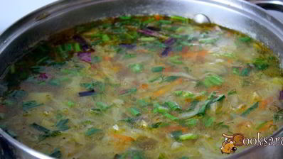 щи из молодой капусты на курином бульоне