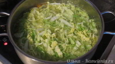 щи из пекинской капусты