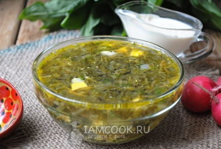 Щи из щавеля на курином бульоне