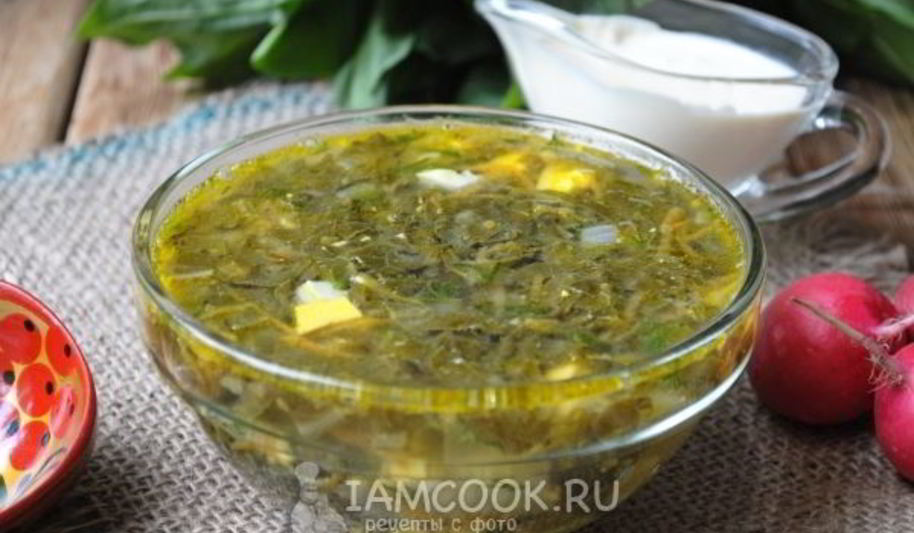 Рецепт щей из щавеля на курином бульоне