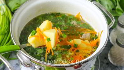 щи из щавеля на мясном бульоне