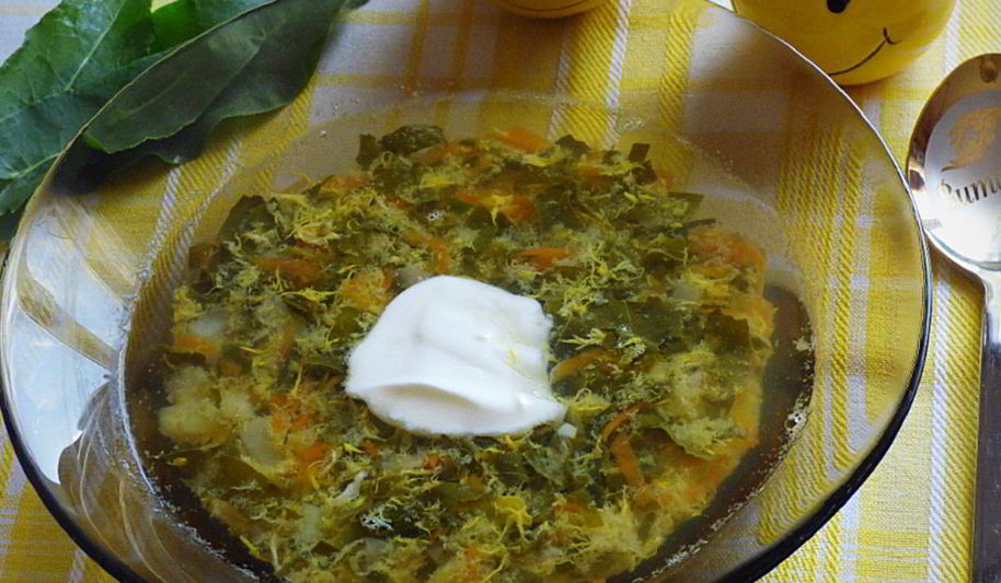 Рецепт щей из щавеля с перловкой