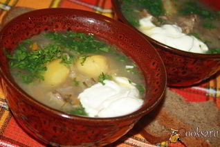 Щи с говядиной и квашеной капустой