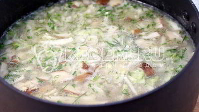 щи с грибами