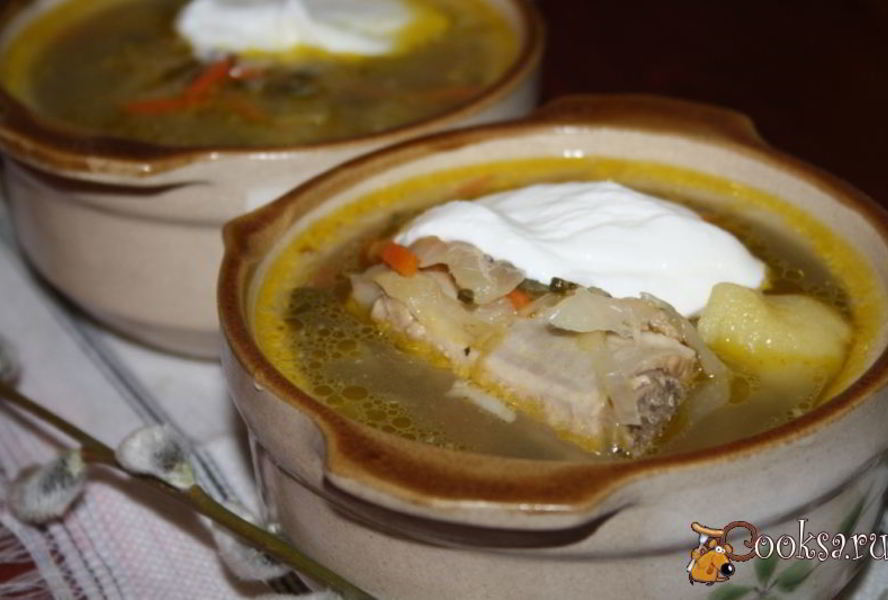 Щи с квашеной капустой и молодым щавлем