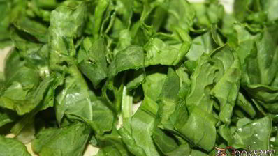 щи с квашеной капустой и молодым щавлем