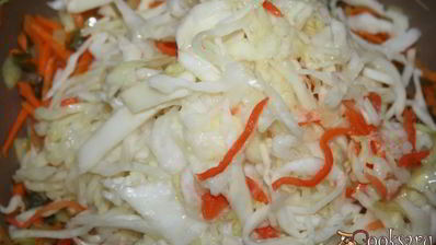 щи с квашеной капустой и молодым щавлем