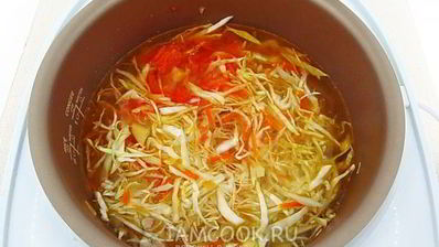 щи с рыбными консервами в мультиварке