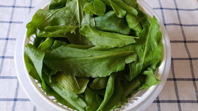 щи с щавелем