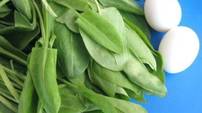 щи щавелевые холодные