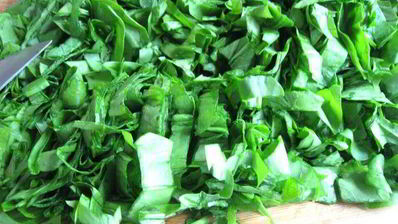 щи щавелевые холодные