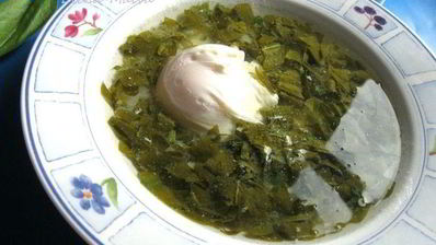 щи щавелевые холодные