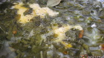 зеленые летние щи со сметаной